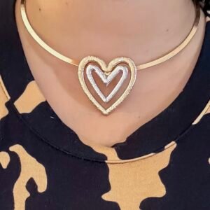 Collar Rigido Art 654d