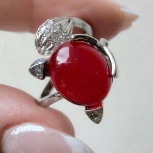 Anillo Art25 Acero Quirurgico